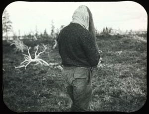 Image: Howe With Back Covered With Mosquitoes
